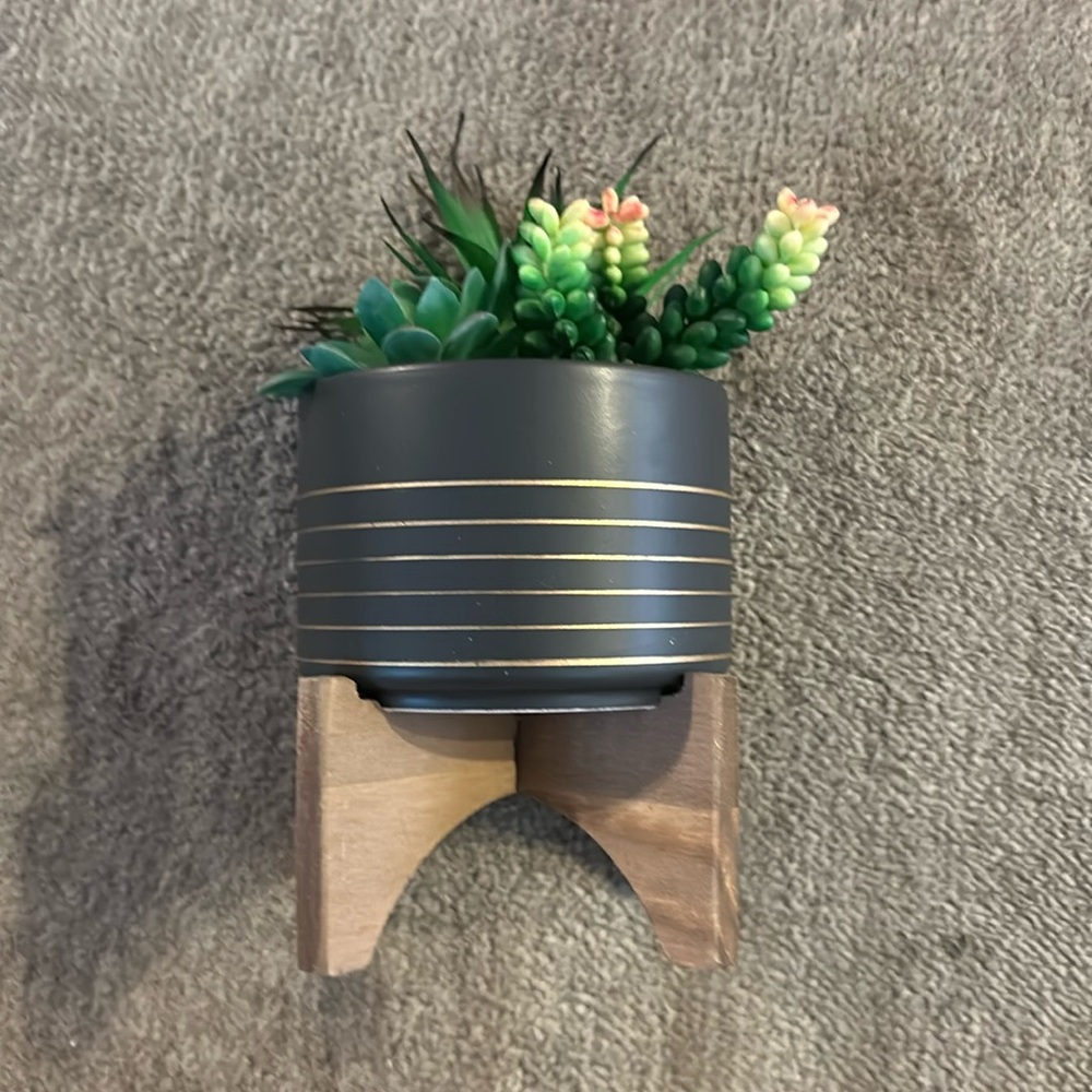 Fake House Plant